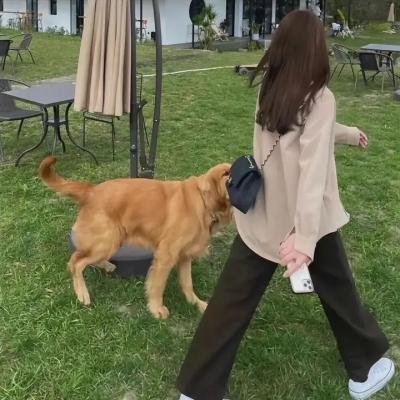 巴西公主卡洛塔·若阿金娜